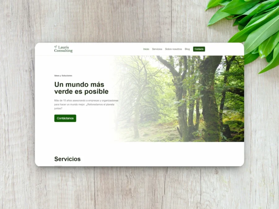 Lauris portada